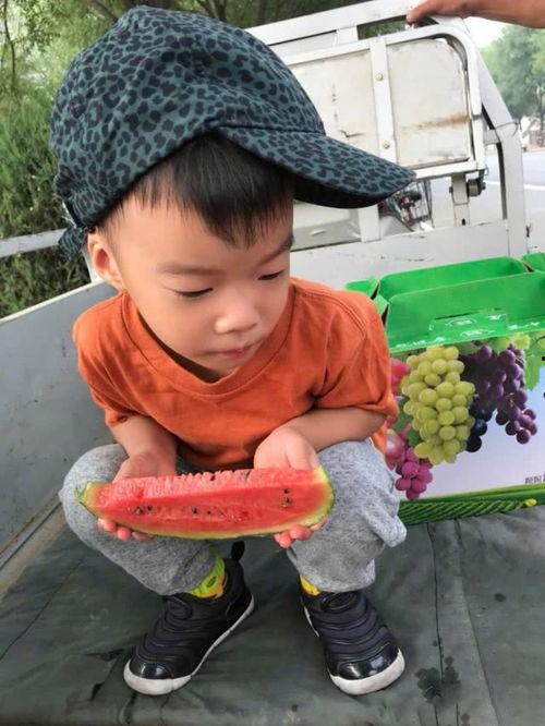 剪映吃瓜特效,吃瓜瞬间，趣味横生！