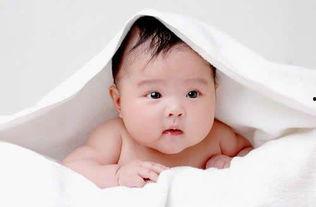 小孩吃瓜图集,小孩吃瓜图集欢乐瞬间