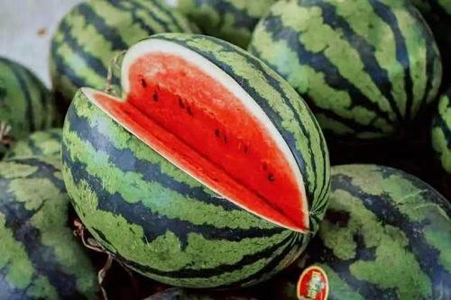 介休最近吃的瓜,揭秘近期热门瓜事