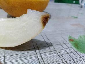 吃哈密瓜影响打疫苗吗,探讨食用哈密瓜对疫苗接种的影响