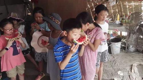 吃瓜群众着急文案,揭秘幕后真相！