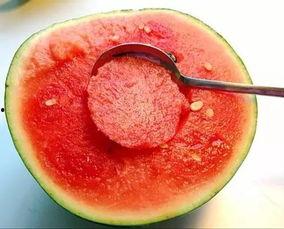 吃瓜吃着像冬瓜为啥,揭秘“吃瓜像冬瓜”的趣味现象背后的科学原理