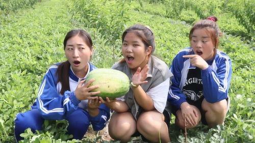 萱萱吃瓜,揭秘娱乐圈幕后故事