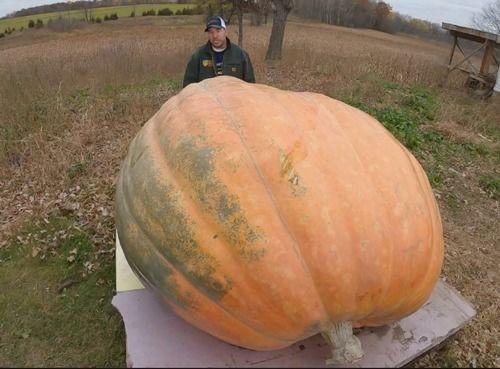 吃瓜看到吐,揭秘“吃瓜群众”的吐血经历