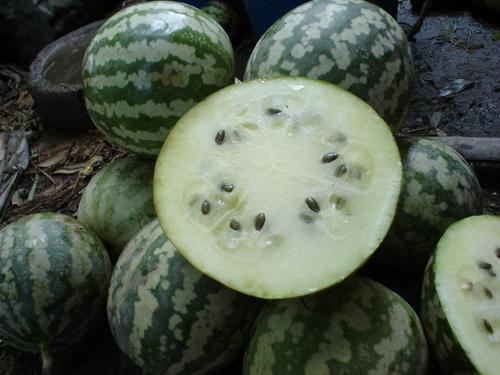 怎么利用吃瓜引流,吃瓜群众如何巧妙利用“瓜”流量实现引流