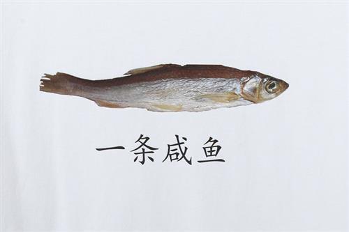 吃瓜咸鱼之王,网络红人的崛起与影响力