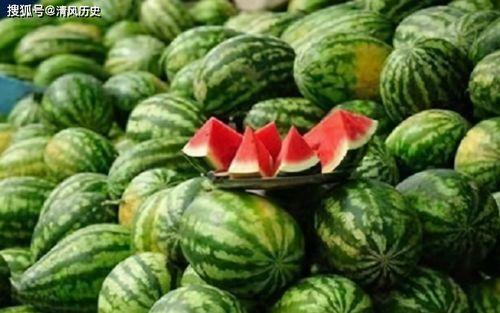 都去哪个网站吃瓜,一网打尽娱乐圈最新动态