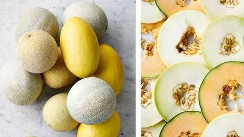 免费吃瓜链接,一键解锁美食狂欢之旅