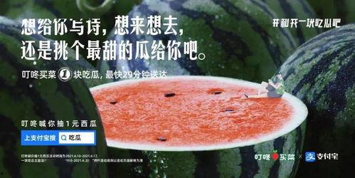 竞选吃瓜的文案,揭秘竞选背后的趣味与真相