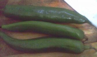 吃鸡瓜辣椒,一场味蕾的冒险之旅