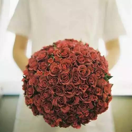 吃瓜女孩玫瑰图片,一场视觉盛宴