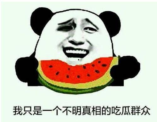 吃瓜群众自己吃,瓜田里的欢乐与智慧